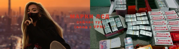 винт Ельня