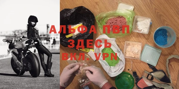винт Ельня
