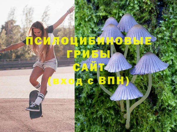 марки lsd Елизово