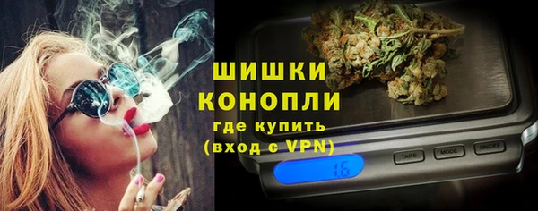 винт Ельня