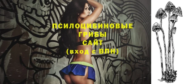 винт Ельня