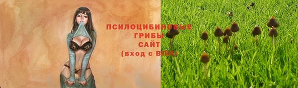 марки lsd Елизово