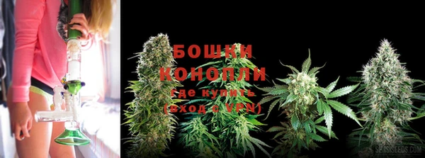 винт Ельня