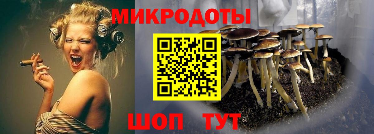 Северобайкальск  Галлюциногенные грибы Magic Shrooms  Псилоцибиновые грибы Cubensis  Вход с VPN 