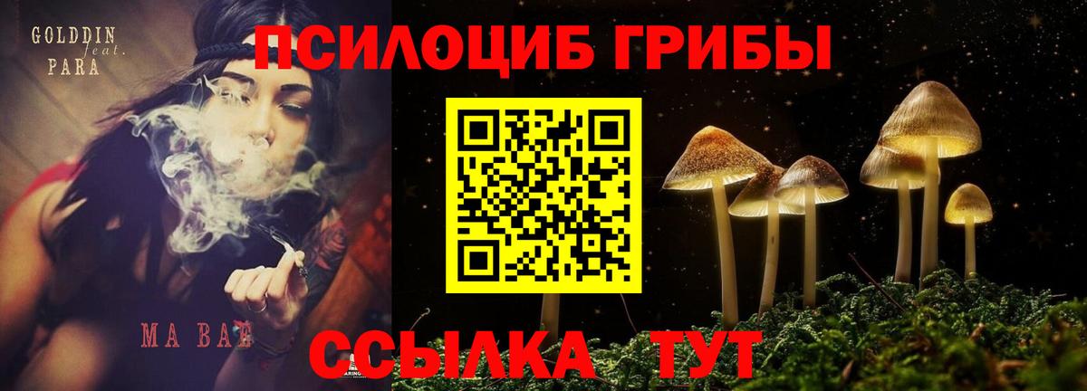 Галлюциногенные грибы мухоморы Северобайкальск